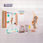 Sea Horse Mosaic Box | Natural Stone Mosaic Art DIY Kit
