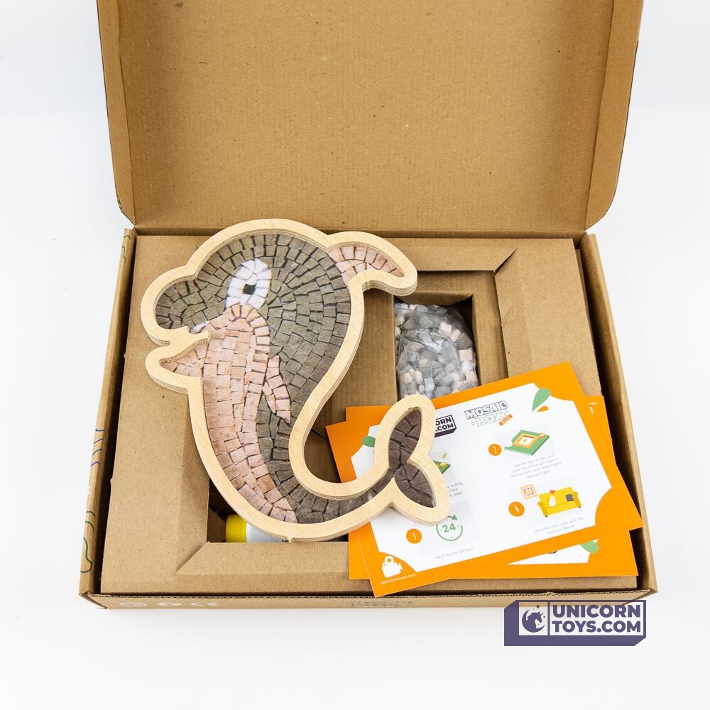 Dolphin Mosaic Box | Natural Stone Mosaic Art DIY Kit