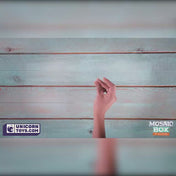 Fox Face Mosaic Box | Natural Stone Mosaic Art DIY Kit