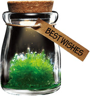 Wish Flower Crystal-Science-Caliber-Green-Unicorn Enterprise Corps.