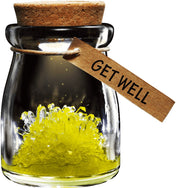 Wish Flower Crystal-Science-Caliber-Yellow-Unicorn Enterprise Corps.