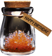 Wish Flower Crystal-Science-Caliber-Orange-Unicorn Enterprise Corps.