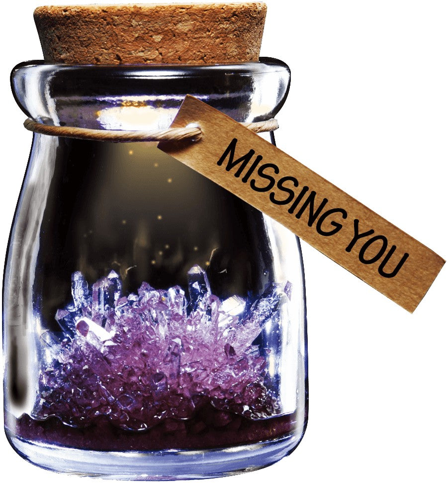 Wish Flower Crystal-Science-Caliber-Purple-Unicorn Enterprise Corps.