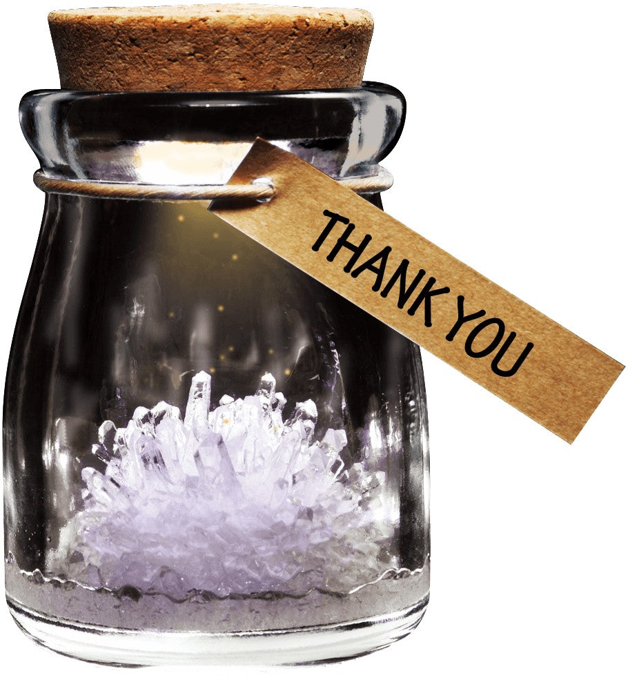 Wish Flower Crystal-Science-Caliber-White-Unicorn Enterprise Corps.