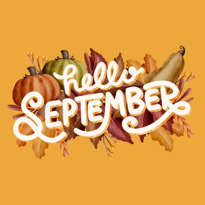 Hello Fall! Redeem our special bulk discount code 🍃🍂