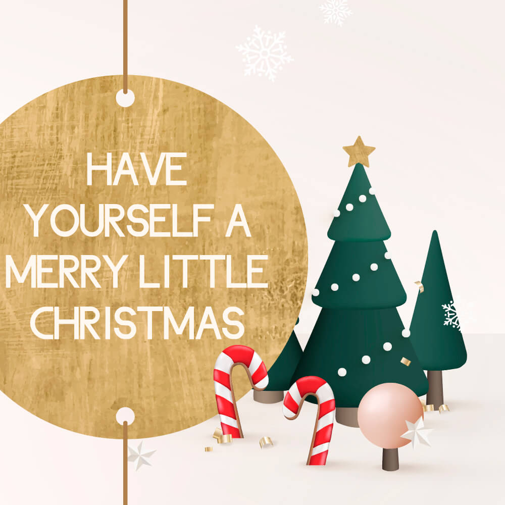 Merry Christmas & Happy New Year!