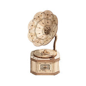 Gramophone | ROKR 3D Wooden Puzzle TG408