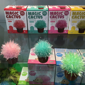 Magic Cactus Crystal-Science-Caliber-Unicorn Enterprise Corps.