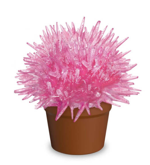 Magic Cactus Crystal-Science-Caliber-Pink-Unicorn Enterprise Corps.