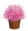 Magic Cactus Crystal-Science-Caliber-Pink-Unicorn Enterprise Corps.