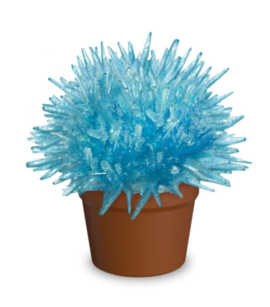 Magic Cactus Crystal-Science-Caliber-Blue-Unicorn Enterprise Corps.
