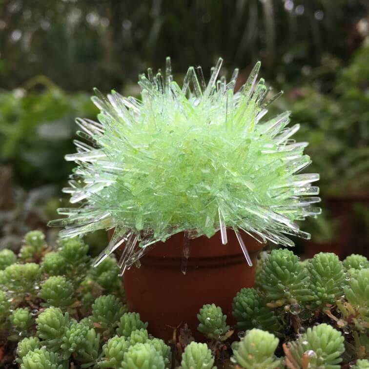 Magic Cactus Crystal - Science - Caliber - Green -Unicorn Enterprise Corps.