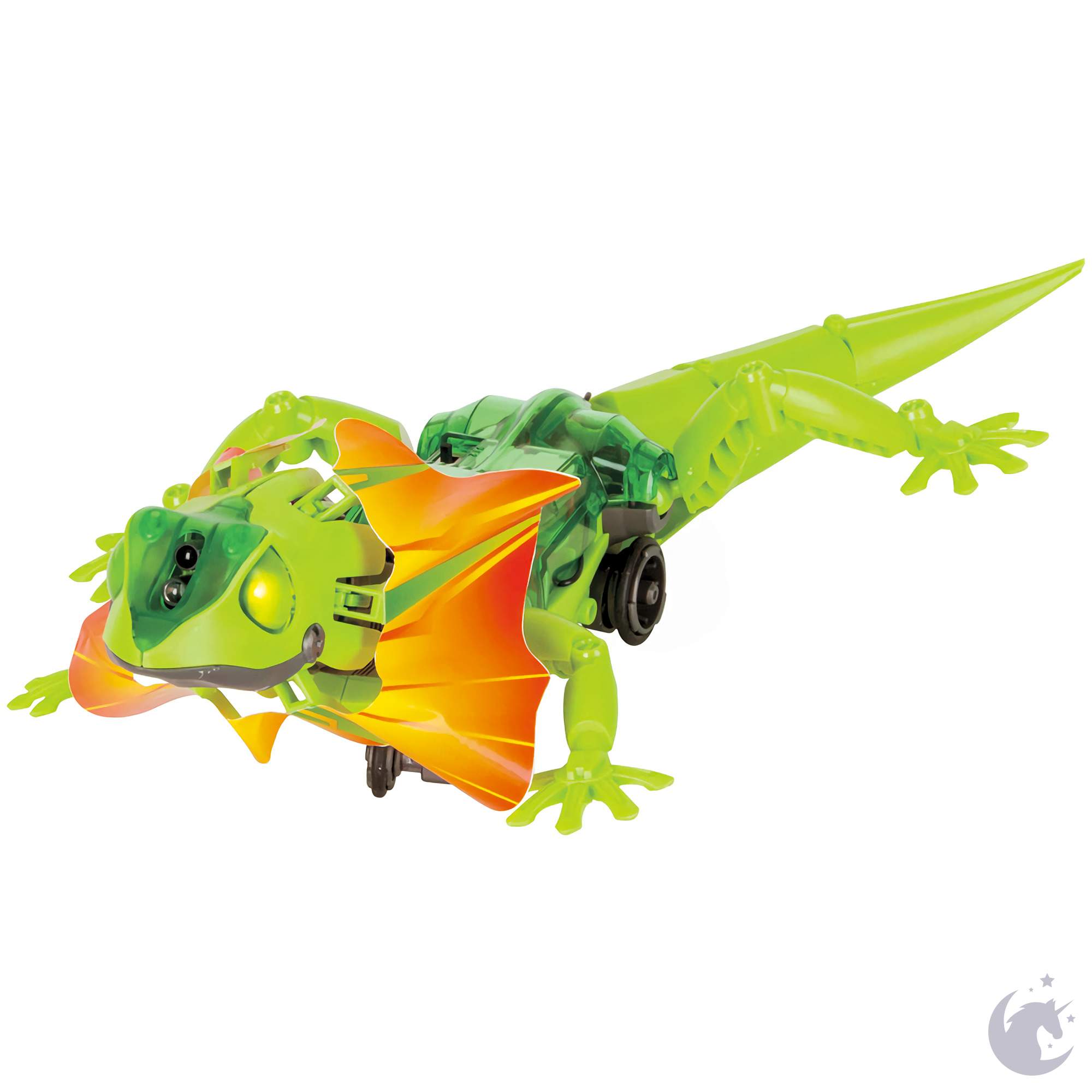Lizard kit hotsell